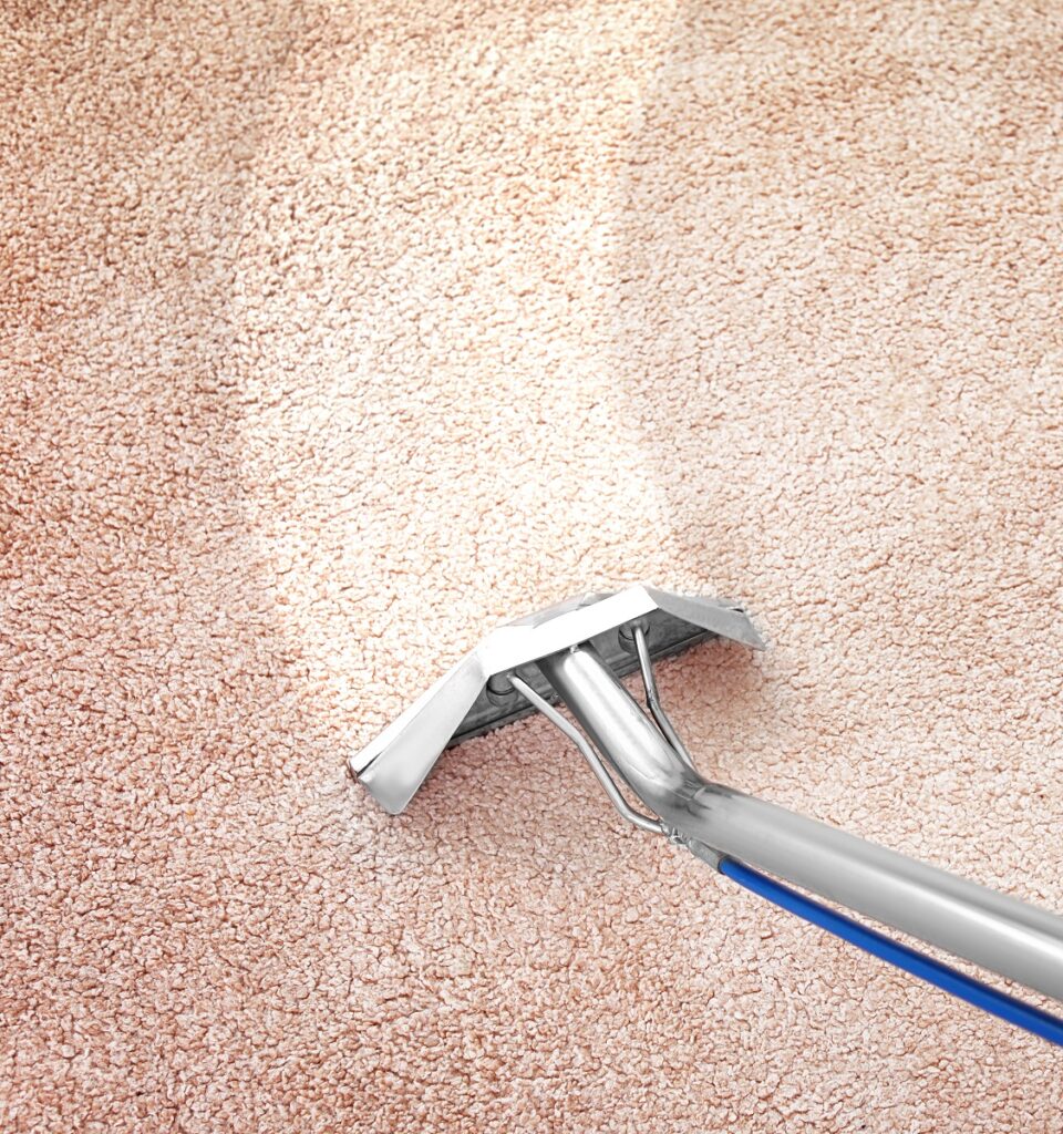 Carpet Cleaning