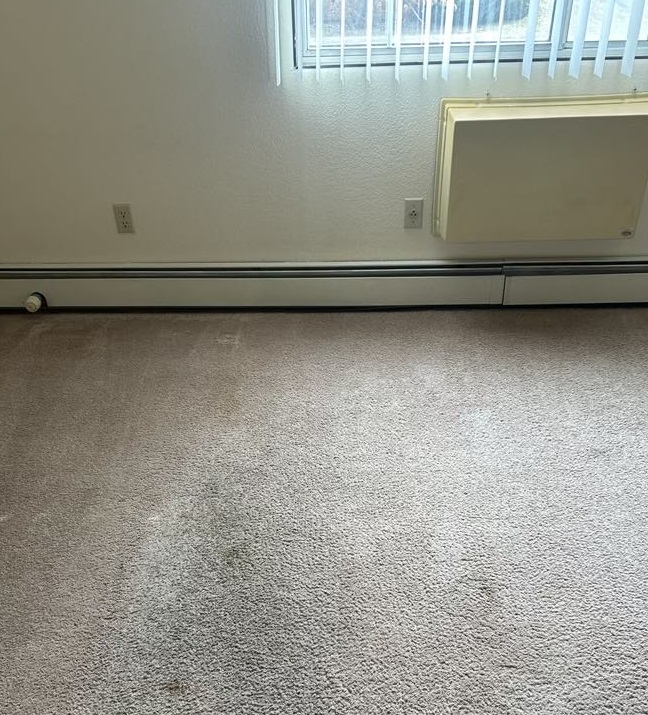 Carpet Cleaning before picture