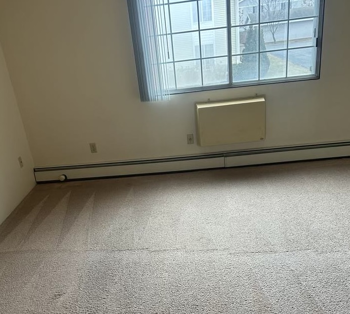 carpet cleaning after picture
